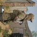 Плитоноска Militex Pro Series Multicam original USA - нового поколения 11293 фото 12